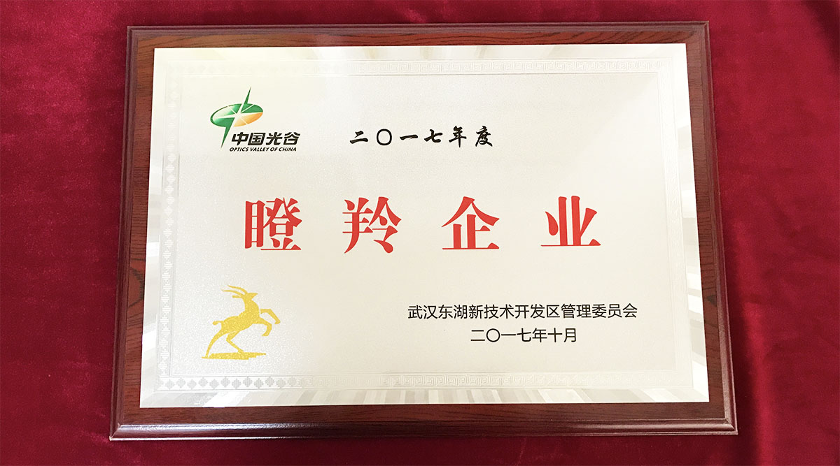 祝賀武漢邁信電氣技術有限公司榮獲中國光谷2017年度“瞪羚企業(yè)”！